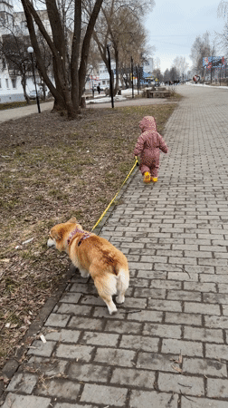 Casual photography session documented in Chaikovsky, Russia