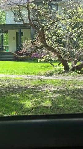 The video shows a view from inside a car, driving slowly down a residential street. The focus is on the houses and lawns. The houses are large, with well-maintained lawns and landscaping. There are trees along the street, casting shadows on the ground. Another car drives past in the opposite direction. The overall impression is of a quiet, upscale neighborhood on a sunny day.