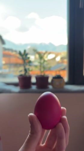 Person holds pink egg near plant-filled windowsill in Bansko