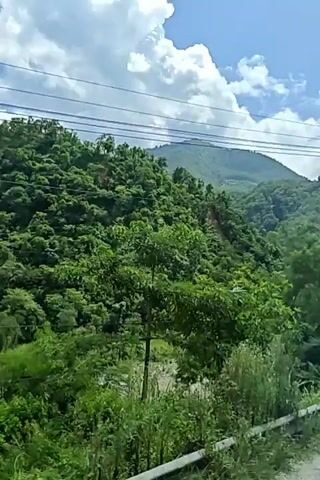 The video shows a view from inside a vehicle traveling along a road next to a lush green mountainside. Power lines are visible overhead. In the foreground, a person walks with a pink umbrella, and another person is partially visible behind them. The road is paved and has a metal guardrail. The mountains are covered in dense vegetation and trees, with a few scattered clouds in the blue sky. There is a power pole on the right side of the road.