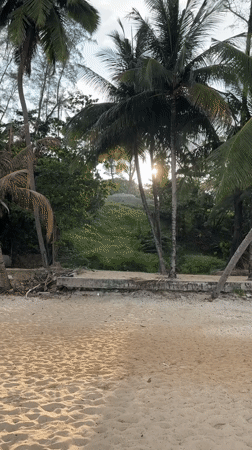 Tropical beach scene documented in Choeng Thale, Thailand