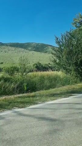 The video shows a view from a moving vehicle traveling on a paved road. The road is in the foreground, with a white line marking the edge of the lane. To the left of the road is a grassy area and then a dense line of trees and bushes. In the background, rolling hills covered in green vegetation are visible under a clear blue sky. The sun appears to be high in the sky, casting shadows on the road. The overall impression is of a scenic drive through a rural, natural landscape.