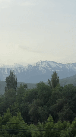 Spring scenery captured from vehicle near Almaty mountains