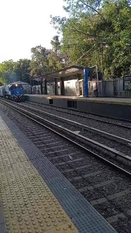 The video shows a blue and silver train approaching and passing through a train station. The train has the number 6923 on the front. The train station has a covered platform and grey metal walls. There are trees surrounding the station. The foreground shows a yellow tactile paving surface on the platform. The train moves from left to right.