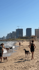 Morning scenes captured across Tel Aviv beaches and construction sites