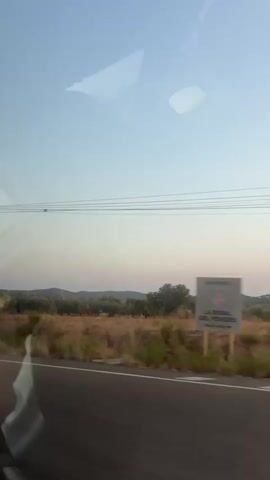 The video shows a view from a moving vehicle, likely a car or bus, looking out a window. The scene is a roadside landscape with a clear sky transitioning from light blue to a pale pinkish hue near the horizon, suggesting it might be dawn or dusk. A road is visible in the foreground, with its white lane markings and occasional reflective studs. On the right side of the road, there are utility poles with wires strung between them. Beyond the road, there is dry, yellowish grass and scrub brush, interspersed with olive trees and other foliage. In the distance, rolling hills or mountains can be seen against the hazy sky. Reflections from inside the vehicle, such as what appear to be parts of the car's interior and possibly a person's head or shoulder, are visible on the window, sometimes obscuring parts of the external view. The video pans and shifts slightly as the vehicle moves, creating a sense of travel. There are no people clearly visible outside the vehicle.