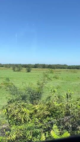 The video shows a view from a moving vehicle looking out at a large, open, grassy field under a clear blue sky. In the distance, there is a treeline, and on the horizon, mountains can be seen. There are several scattered trees within the field. Two tall, narrow electrical pylons are visible, one on the left side of the frame and another further to the right and slightly closer. In the foreground, there is some dense green foliage obscuring the lower portion of the view. The overall impression is a rural, open landscape on a sunny day.