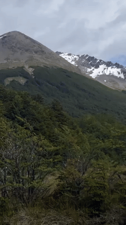 Tourist documents mountain scenery, forest selfies in Ushuaia