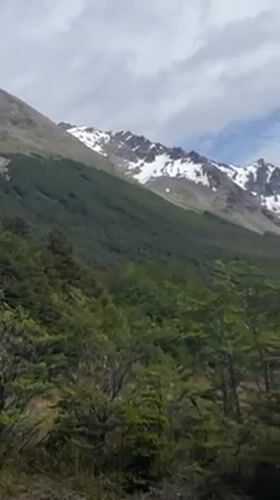 Tourist documents mountain scenery, forest selfies in Ushuaia