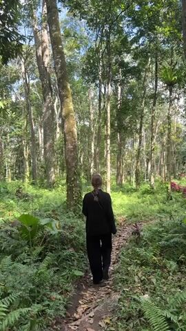 A person with light-colored hair pulled back walks away from the camera on a dirt path in a lush forest. They are wearing black clothing. The path is lined with dense green ferns and other tropical plants. Tall trees with light-colored bark rise in the background, their branches covered in leaves. The sky is visible through the canopy, suggesting it is daytime.