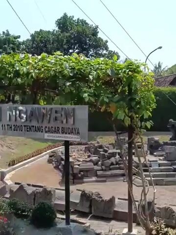 The video pans across an outdoor archaeological site with crumbling stone structures and lush greenery. In the foreground, weathered stone blocks are arranged haphazardly, some appearing to be architectural fragments. A young tree with green leaves stands in front of a fence. The middle ground reveals more ruins, including a raised platform with steps and scattered stone pieces. A person is seen walking in the distance near one of the structures. Palm trees and other foliage dominate the background, indicating a tropical or subtropical climate. The sky is clear and bright. The video moves to show a pathway lined with hedges leading towards a larger stone structure in the distance. The overall impression is of an ancient, overgrown historical site.