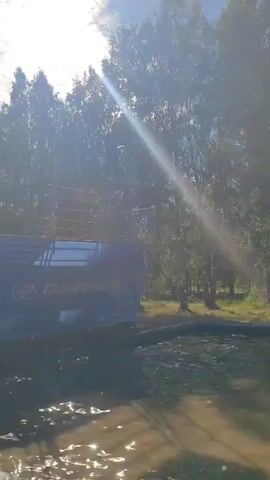 A person is standing on a tall structure that appears to be a rope climb or obstacle course. The structure is located outdoors near a body of water. The person is looking down towards the water. The sun is shining brightly through the trees in the background, creating lens flares in the video. A banner with Russian text is visible on the side of the structure.