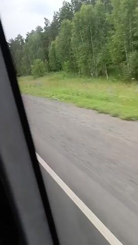 The video shows a view from inside a vehicle moving along a paved road. The road has a white line on the right side. To the left of the road, there is a grassy shoulder with some wildflowers and a dirt path leading into a forest. The forest consists of a mix of pine and deciduous trees. In the distance, a blue street sign is visible on a pole. The sky is overcast. The camera appears to be mounted on a dashboard or window of the moving vehicle.