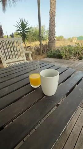 The video pans across an outdoor seating area. In the foreground, a dark wooden table holds a tall glass of orange juice and a white mug of coffee. A white metal chair is visible to the right of the table, with ornate detailing. The background reveals a paved patio area with wooden decking tiles. Beyond the patio, there is a garden with plants and a palm tree. Further back, a swimming pool is visible with some people and structures around it, suggesting a residential or resort setting. The sky is clear and blue, indicating daytime.