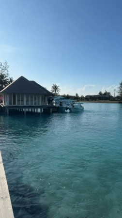 Resort life documented in Maldives over three-hour morning period