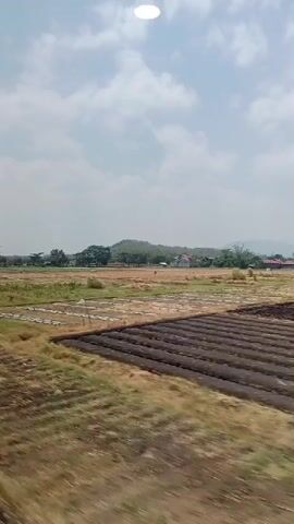 A landscape video shows a sunlit, cloudy sky over a rural scene. The foreground is a blur of dry grass and foliage, indicating motion. Beyond this, there are agricultural fields, some appearing dry and harvested, with rows of what look like planted crops or prepared soil. In the middle ground, there are more fields, some with visible water, suggesting they are rice paddies. In the distance, a line of trees and hills forms a backdrop, with a few buildings and structures scattered among them. The overall impression is of a countryside passing by, likely viewed from a moving vehicle.