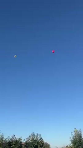 The video shows two balloons floating against a clear blue sky, above a line of trees. One balloon is a light yellow and the other is a brighter pink or red. The camera zooms in on the pink balloon, showing it drifting in the wind. There is a slight rustling sound in the background.