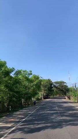 The video shows a wide shot of a road lined with trees on a clear, sunny day. The camera is positioned as if it is moving forward along the road. The road is paved with asphalt and has a yellow line down the center. The trees on either side of the road are lush and green, with some branches arching over the road, creating a natural tunnel effect. In the distance, there are power lines and a tall telecommunications tower. There is no significant human activity visible in the frame, though a person on a motorcycle is briefly seen on the left side of the road at the beginning of the video. The overall impression is one of a scenic drive through a verdant landscape.