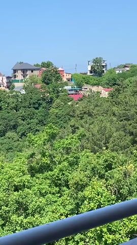 This video captures a scenic view from a balcony, overlooking a lush, green hillside dotted with houses and leading down to the blue expanse of the sea. The time of day appears to be late morning or early afternoon, indicated by the bright sunlight and clear blue sky. The weather is fair and warm, contributing to the vibrant green foliage.

The foreground is dominated by a gray railing, suggesting the vantage point is from a residential balcony or terrace. Beyond the railing, the hillside is covered in dense trees and vegetation, with various shades of green indicating different types of flora. Nestled among the trees, on the higher slopes, are several houses. These homes have varied architectural styles and colors, with some featuring red, white, and blue roofs. A few taller, darker-roofed buildings are also visible, suggesting a mix of residential properties.

As the view pans slightly to the right and down, the greenery continues to cover the landscape, eventually giving way to a clear view of the ocean. The sea is a calm, deep blue, meeting the horizon under the bright sky. The presence of the sea, combined with the abundant greenery and the style of the houses, hints at a coastal resort area, consistent with the provided location context of Sosnovy, Russia, which is known for its Black Sea coast.

There are no people or distinct objects visible in the scene other than the houses and natural elements. The overall mood conveyed is one of tranquility and natural beauty, with a sense of peaceful observation. The video does not contain any visible text.