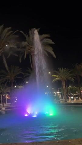 The video shows a fountain at night. The fountain is lit with purple and green lights, and palm trees are visible in the background. Cars are parked on the side of the road behind the fountain. The water from the fountain is spraying high into the air, and the lights are reflecting off the water.