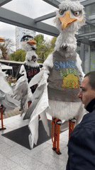 Spring festival with bird performers and flower market in Burgas