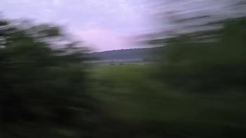 The video presents a rapidly moving landscape, likely viewed from a vehicle such as a train or car. The foreground is heavily blurred with streaks of green, indicating speed, while showcasing dense foliage and trees rushing past. In the mid-ground, a greener, less blurred terrain appears, possibly consisting of fields or a valley. Distant hills or mountains rise against the horizon. The sky is overcast with a noticeable purple and pinkish tint, suggesting the time of day is either dawn or dusk. The overall scene depicts a natural, rural environment, consistent with locations like Polyanovo, Bulgaria. There are no people, specific objects, or discernible text visible.