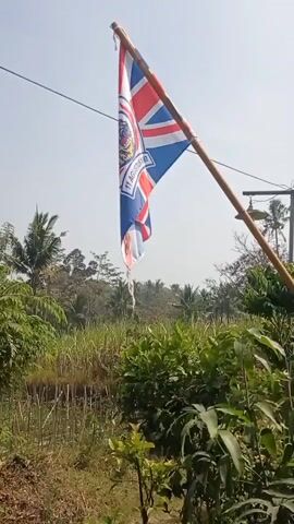 A low-angle, medium shot captures a Union Jack flag attached to a wooden pole. The flag is partially unfurled and appears to be made of fabric. It's set against a backdrop of a bright, clear sky. The flag is positioned diagonally, with the pole extending upwards and to the right. Below the flag, a lush green landscape is visible, featuring dense foliage and tall, thin plants that resemble sugarcane. A body of water or a muddy patch of ground can be seen amidst the vegetation. In the background, trees and a power line with a lamppost are also present. The scene is outdoors, suggesting a sunny day.