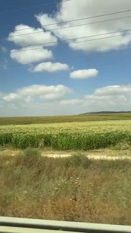 The video shows a view from a moving vehicle looking out over a vast field of green crops, possibly corn or wheat, under a bright blue sky with scattered white clouds. In the foreground, dry, yellow grass and foliage line a dirt path. A tall, metal utility pole with wires stretching across the frame is visible on the right side of the image, indicating the presence of infrastructure. The perspective suggests the viewer is traveling parallel to the field, with the landscape unfolding from left to right. No people or animals are visible.