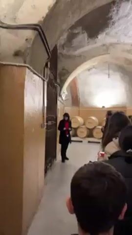 The video shows a group of people on a tour inside what appears to be an old wine cellar. The room has an arched ceiling and beige walls. In the background, there are several wine barrels stacked against the wall. A woman is standing in front of the group, presumably a tour guide, and is talking. The tour participants are facing her, listening to the explanation. The overall atmosphere is dim due to the lighting.