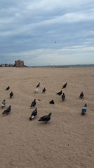 Cloudy evening at a New York beach, shoreline details and city edges