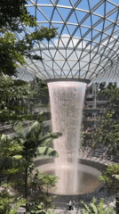 Early morning visitors capture Jewel Changi Airport's waterfall attraction