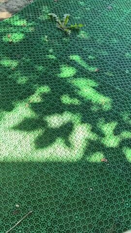 This is a close-up, overhead shot of a green, textured mat, likely made of plastic, with a honeycomb or hexagonal pattern. The mat is lying on what appears to be the ground, with some dirt and possibly dried leaves visible through the openings. Sunlight is casting dappled shadows on the mat, creating a pattern of light and dark that changes as the camera moves. The shadows suggest the presence of foliage, possibly trees or bushes, overhead. In the upper part of the frame, a small cluster of green plants, possibly weeds, is growing through the mat.

The overall impression is one of an outdoor setting, possibly a garden or a path, where this mat is used for some purpose, perhaps to provide traction or to protect the ground. The lighting suggests it is daytime, likely sunny. There are no people visible in the media. The scene is static and peaceful, with the play of light and shadow being the most dynamic element. The focus is on the texture and pattern of the mat and the interaction of light with its surface. The location context indicates the setting is Karachino, Russia.