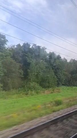 This video shows a view from a train window. The train is moving, as evidenced by the blur of the landscape. The landscape consists of a grassy field bordering a dense forest. Overhead, power lines are visible against a cloudy sky. The train tracks are in the foreground, also blurred due to motion. There are no people visible in the frame.
