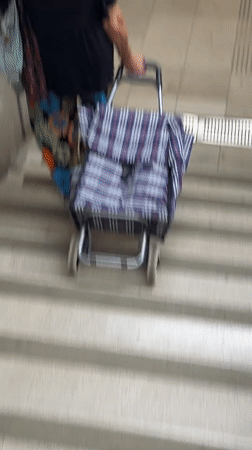 Wheeled shopping cart hauled up concrete stairs in Milan