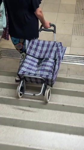 Wheeled shopping cart hauled up concrete stairs in Milan
