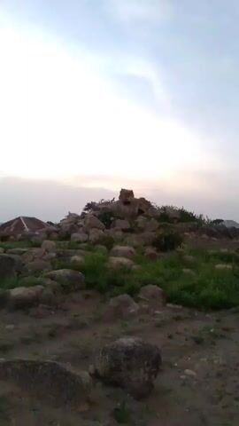 The video shows a rocky, outdoor scene with sparse vegetation under a pale sky. Two dark-colored dogs are visible on top of a large boulder. One dog is standing, while the other is lower down, facing away from the camera and appearing to be interacting with the first dog. They are positioned in the upper half of the frame, against the backdrop of the sky and the rocky terrain.