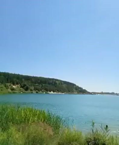 The video opens with a wide shot of a lake on a clear, sunny day. In the foreground, tall green reeds grow along the shoreline. The water is a vibrant turquoise and appears calm, with a few people swimming and wading near the shore. In the mid-ground, the lake stretches out, with a distant wooded hill on the left side of the frame. The hill is covered in green trees and some lighter-colored patches that could be buildings or exposed earth. Along the far shore, there are more hints of buildings and structures, suggesting a populated area. The sky is a brilliant, cloudless blue. The camera slowly pans to the right, revealing more of the lake and the people enjoying the water. Several individuals are visible in the water, some partially submerged, while others are standing or walking. One person on the far right is entering the water. The overall impression is a peaceful, idyllic summer scene at a lake.