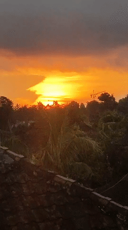 Morning scenes captured in Ubud: sunset, frog, scooter rider