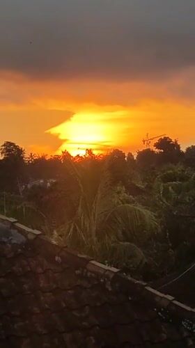 Morning scenes captured in Ubud: sunset, frog, scooter rider