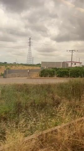 A video recorded from inside a vehicle moving along a rural road shows a view of the landscape. On the right, a grassy field borders the road, with some dry patches. Beyond the grass, a field of small trees with green leaves and light-colored patches stretches across the mid-ground. In the background, under a cloudy sky, several power lines and transmission towers are visible. A small, white building with a red roof is also seen in the distance, partially obscured by the trees and power lines.
