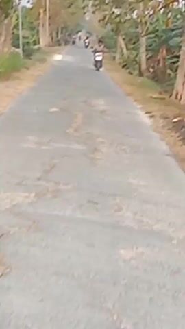A person is riding a scooter down a road. The road is paved and has some cracks in it. There are trees and grass on the sides of the road. There are other people in the distance, also on scooters. The weather appears to be sunny.