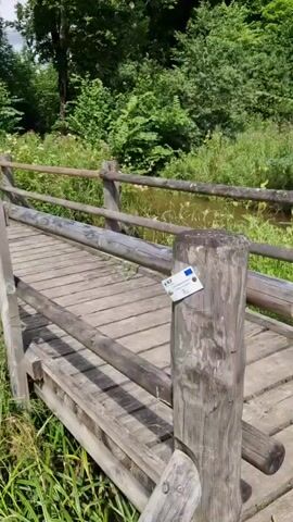 A wooden bridge crosses a narrow body of water. The bridge has a weathered wooden deck and log railings. On the railing of the bridge, a white rectangular object, possibly a sticker or a card, is attached. Behind the bridge, lush green trees and vegetation are visible, suggesting a natural, outdoor setting. The water in the stream is murky brown. The lighting suggests it is daytime.