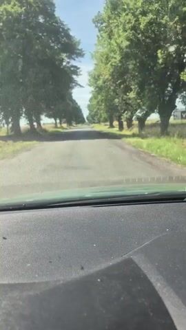 The video is shot from inside a vehicle, looking forward through the windshield. The vehicle is traveling down a paved road lined with tall trees on either side, creating an avenue effect. The trees have full green foliage, suggesting it is summer. The road appears to be in a rural area, with fields visible between the trees. The sky is blue with some scattered clouds. The dashboard of the vehicle is visible in the foreground. The lighting suggests it is daytime, likely sunny.