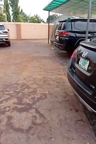 The video shows a paved area with three parked cars, a silver SUV, a black SUV and a dark-colored sedan. The paving is stained in patches. In the background is a beige-colored wall. Palm trees and other vegetation are visible above the wall. The black SUV is parked under a green awning. The camera moves slightly, providing different angles of the cars and the surrounding area.
