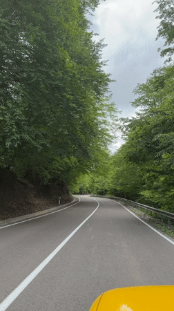 Driver records journey through Georgian forest road