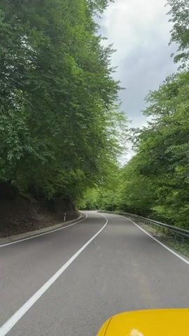 A first-person perspective video shows a car driving down a winding asphalt road through a forest. The road has a white line down the center and a metal guardrail on the right side. The dense trees on either side form a canopy overhead, and their leaves are predominantly green. The sky is overcast. The hood of the yellow vehicle is visible at the bottom of the frame.