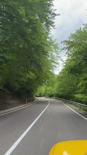 Driver records journey through Georgian forest road