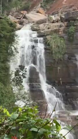 The video shows a waterfall cascading down a series of rocky ledges. The water is white and foamy, contrasting with the dark brown and gray rocks. The landscape is lush with greenery, including bushes and trees in the foreground. The camera pans slightly to the right, revealing more of the waterfall's width. The top of the waterfall is obscured by a reddish-brown dirt bank. The scene is natural and peaceful.