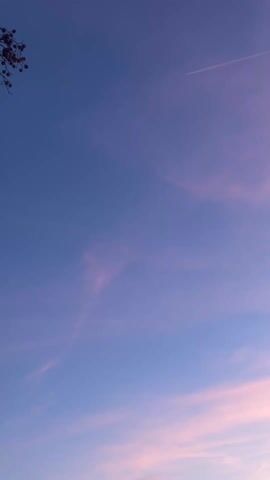 The video shows a sky with a purplish-blue hue and pink clouds. A crescent moon is visible in the upper left corner. An airplane contrail stretches across the sky. The branch of a tree with small red berries is visible in the extreme upper left corner.