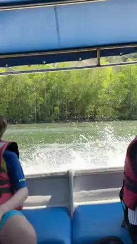 The video shows a family of four riding in a speedboat. The boat has a blue roof and blue seating. The water is churning as the boat moves quickly through a river. There are green trees along the riverbank. All the passengers are wearing red life vests. The father is sitting at the front of the boat, wearing sunglasses. The mother is sitting next to the father. A life preserver is fixed behind them. Two children are sitting behind the parents. The back of the boat is visible with an engine labeled "115". The day is sunny and the sky is blue.